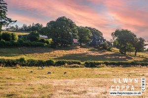 Llwyn Coppa Holiday Cottages