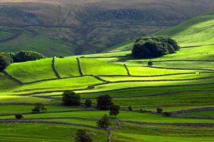 Fern House Apartment Grassington, Yorkshire Dales National Park