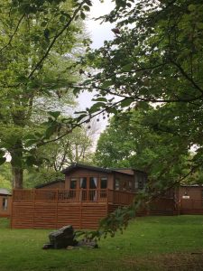 Luxury Platinum Woodland Lodge
